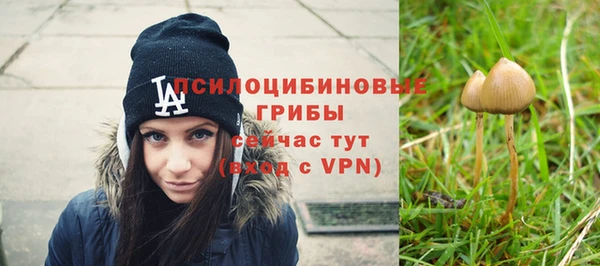 твердый Балабаново