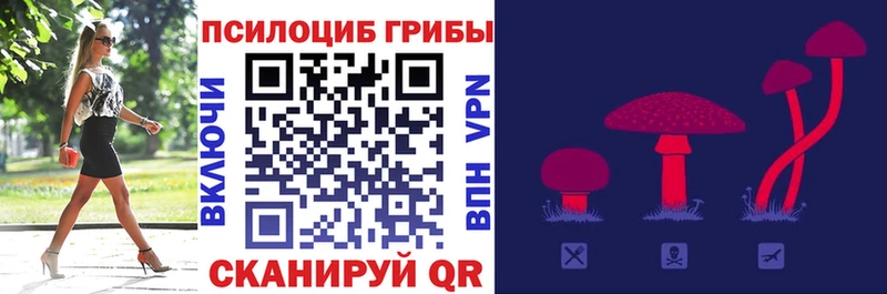 Псилоцибиновые грибы Magic Shrooms  Купить закладки  Ликино-Дулёво 
